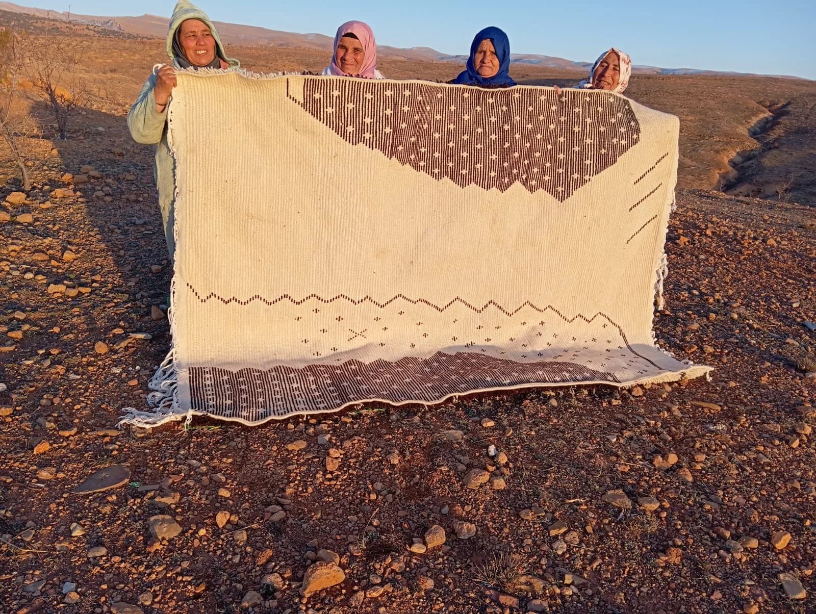 Zarbya Mermouchia